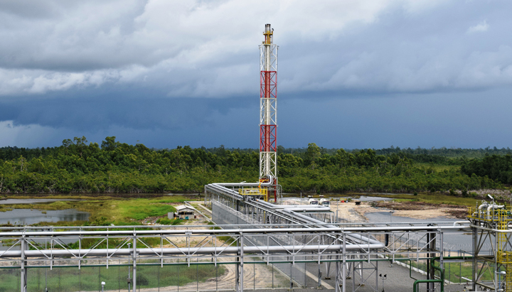 Building flare mast at the Southern Swamp Associated Gas Solutions, Nigeria, 2019 (photo)