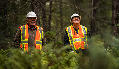 Two men in workwear standing in a wood (photo)