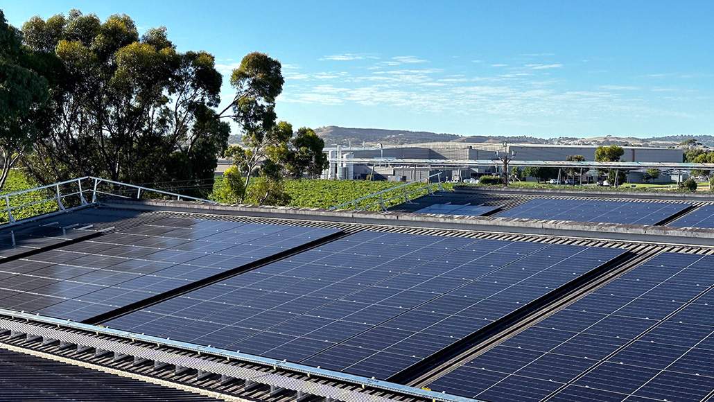 Solar panels installed at Treasury Wine Estates, Australia, in front of vinyards, trees and the blue sky. (photo)