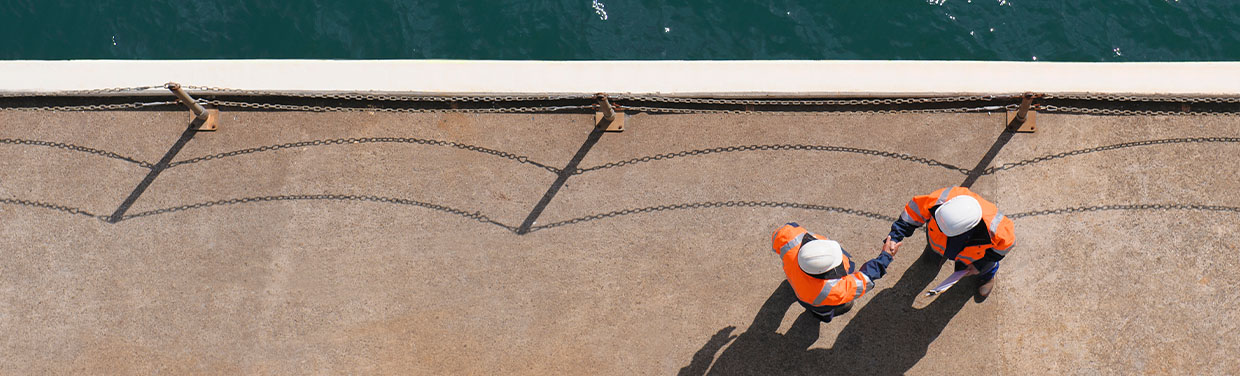 Aerial view of two man in PPE shaking hands at the edge of the harbour (photo)
