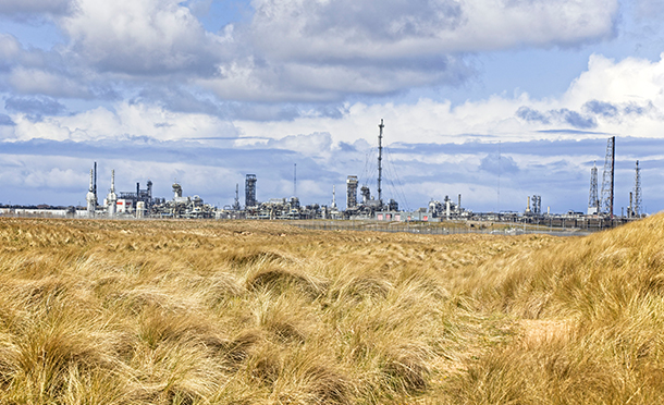 Grassland in the front and refinery in the background