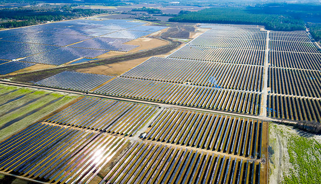 A Silicon Ranch solar farm, Georgia, USA (photo)