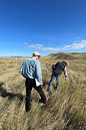 two men in a field inspecting the long grass (photo)