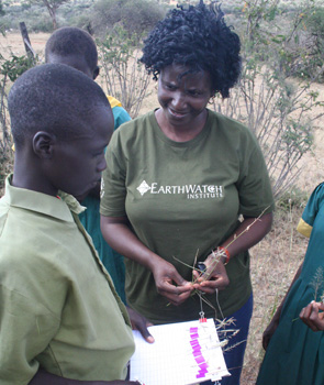 Learning about biodiversity with the Earthwatch programme in Kenya. (photo)