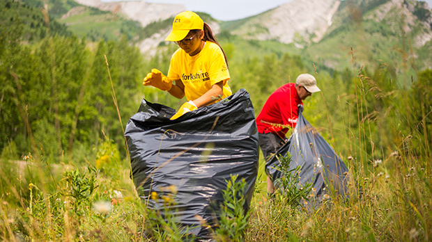 Volunteers bagging invasive plants at Mount Broadwood (photo)