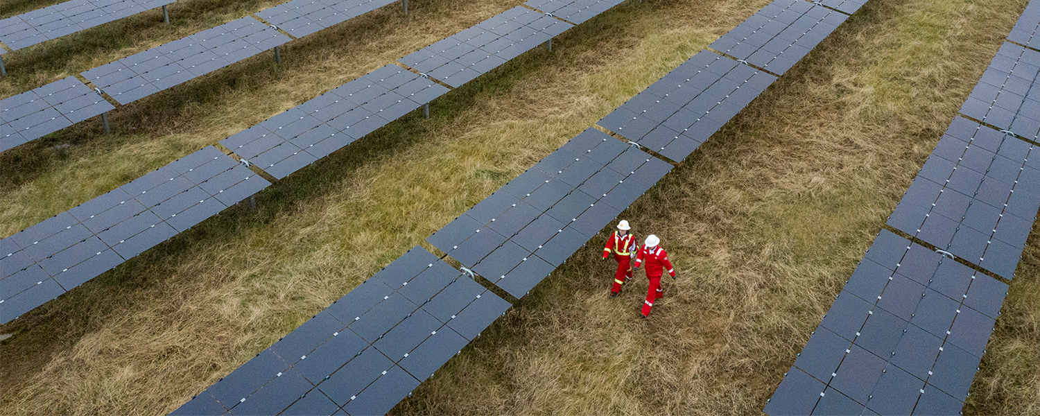 Two Shell workers walk through the Silicon Ranch Solar Farm in Nashville, Tennessee, USA. (photo)