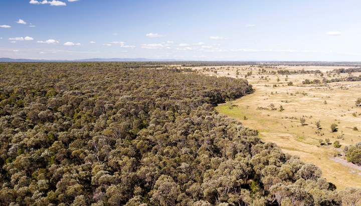 An aerial-shot of part of the Valkyrie property, home to Project Freyja, Shell Australia’s first nature-based solutions project (photo)