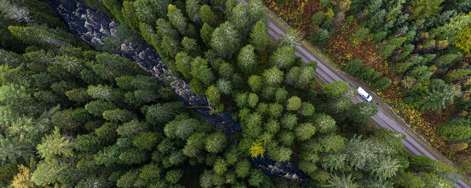 Glengarry forest in the UK, aerial view of road (photo)