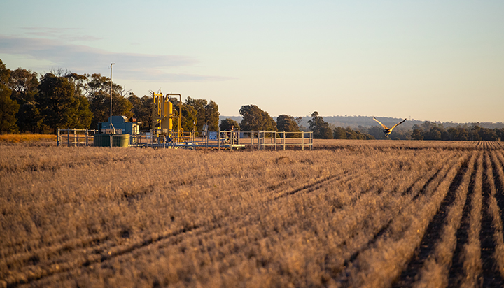 Gas well in a paddock with a bird flying, in Queensland, Australia. (photo)