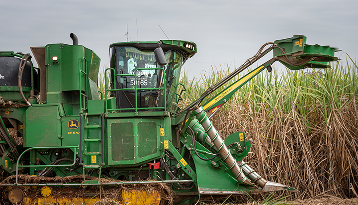 Machinery harvesting sugar cane used for Raizen biofuels in Brazil. (photo)