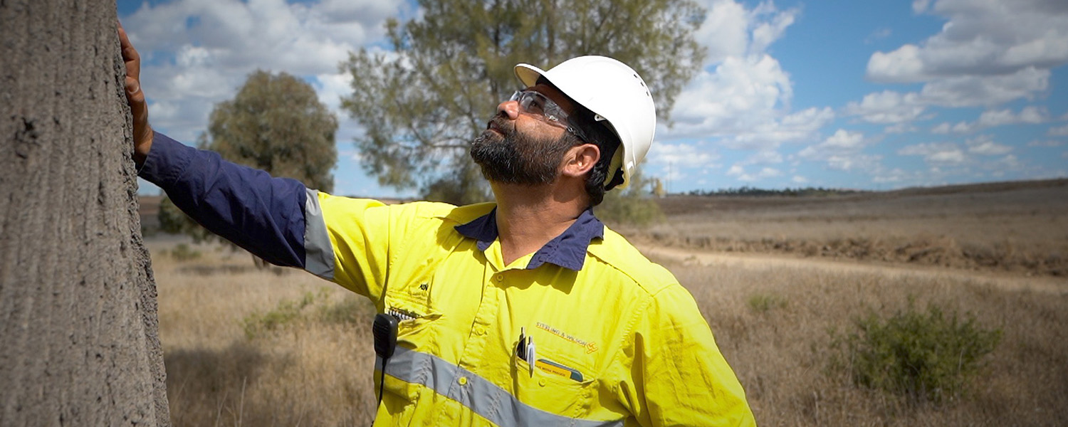 A man working for Shell’s QGC business inspects a tree in Queensland, Australia. (photo)
