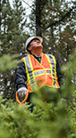 Male worker standing in a wood with young trees (photo)