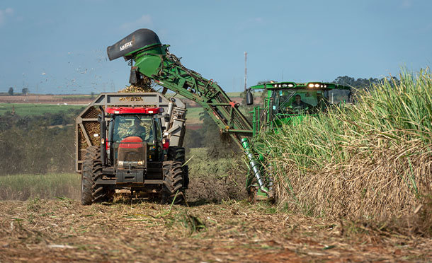 Tractor and truck harvesting Sugar cane (photo)