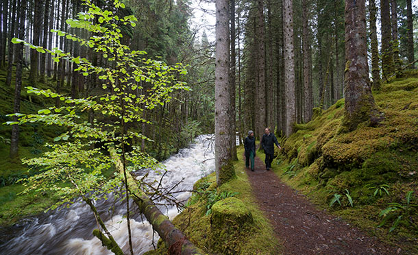 Two people walking next to a stream in a forest (photo)