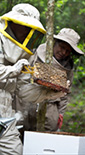 Community members being taught how to maintain beehives as part of a community engagement programme,Tarija (photo)