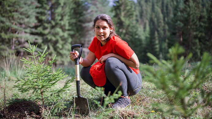 Portrait of a young female volunteer planting a pine tree in the forest and looking at the camera (photo)