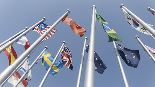 Several flags of countries and locations on flagpoles (photo)